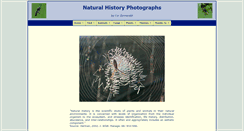 Desktop Screenshot of corzonneveld.nl
